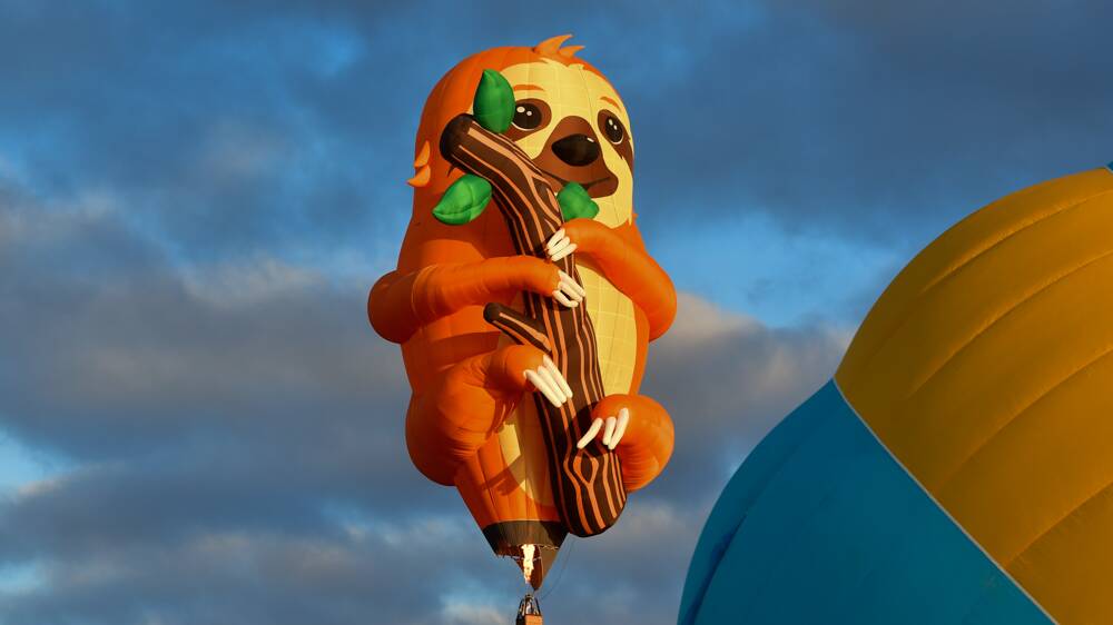 Tico the sloth takes off on Saturday morning. Picture: Elesa Kurtz