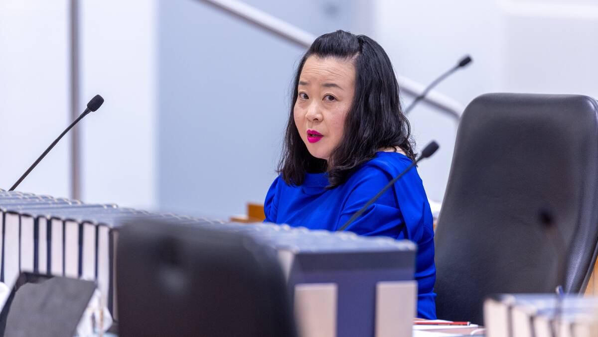 Opposition Leader Elizabeth Lee will move a motion about recent construction company collapses. Picture by Gary Ramage