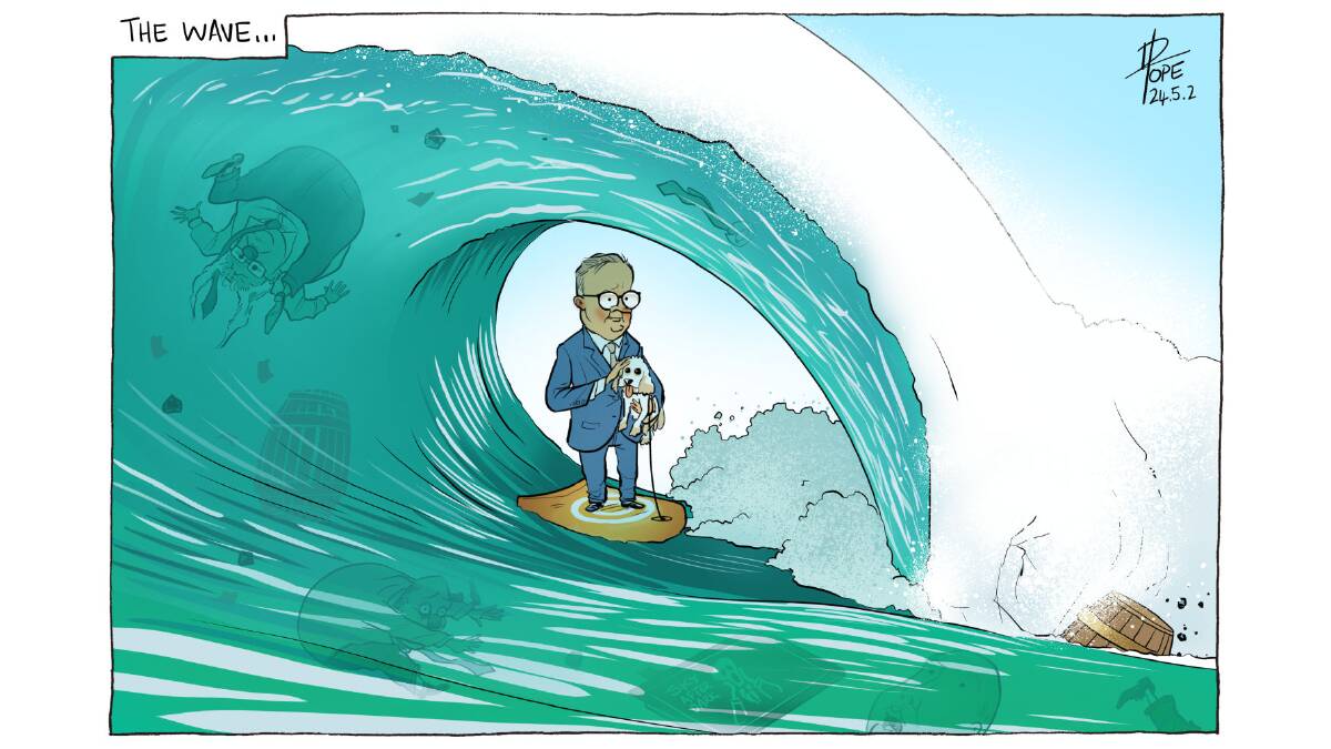 David Pope's post-federal election cartoon, from May.