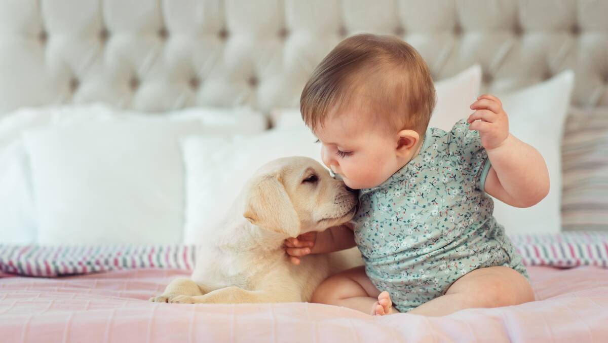 Dogs might feel threatened by our enthusiastic hugs. Picture: Shutterstock