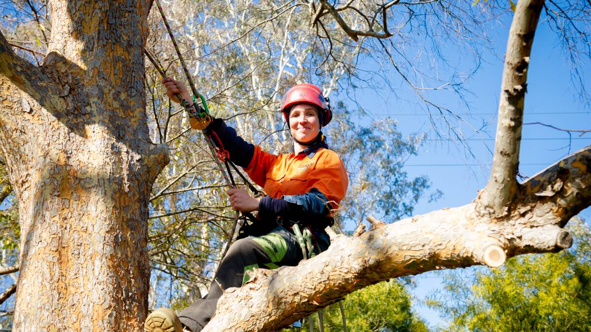 Apprentice arborist Tyla Bickley. Arborists are an in-demand skill with low shortage supply. Picture by Elesa Kurtz