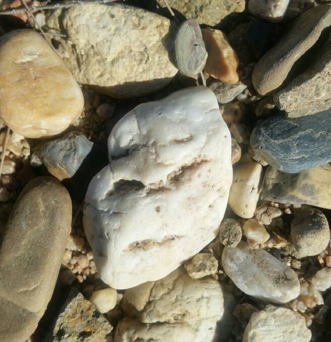 Can you see the grumpy face in this river pebble? Picture: Rose Higgins