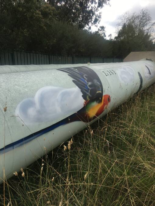 The painted water pipeline on Cotter Road. Picture: Tim the Yowie Man