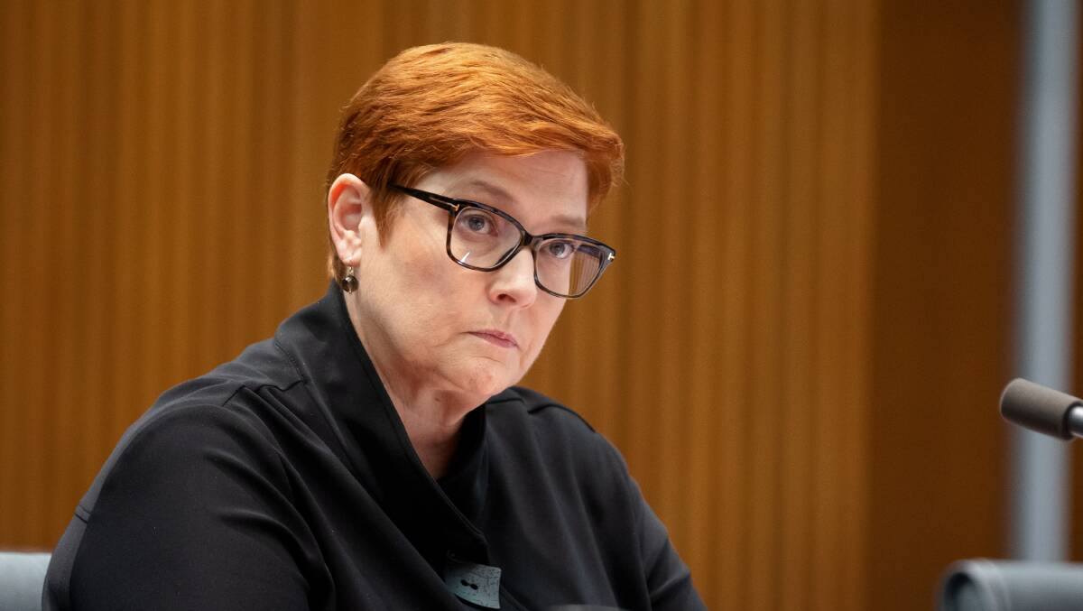 Foreign Minister Marise Payne. Picture: Sitthixay Ditthavong