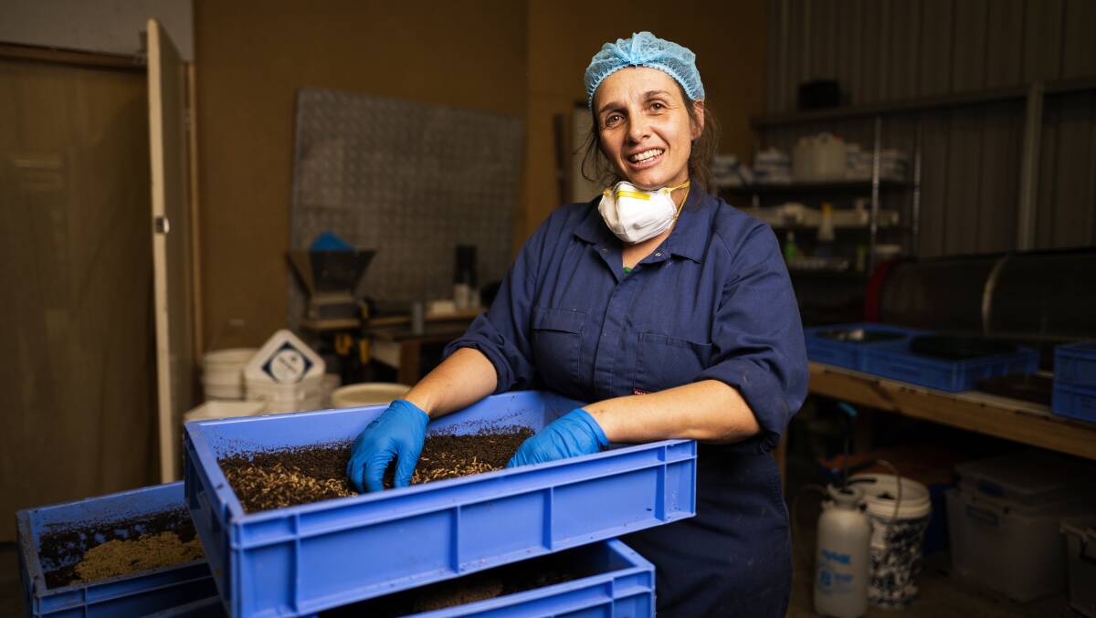 Goterra boss Olympia Yarger is struggling to find trade workers. Picture by Keegan Carroll