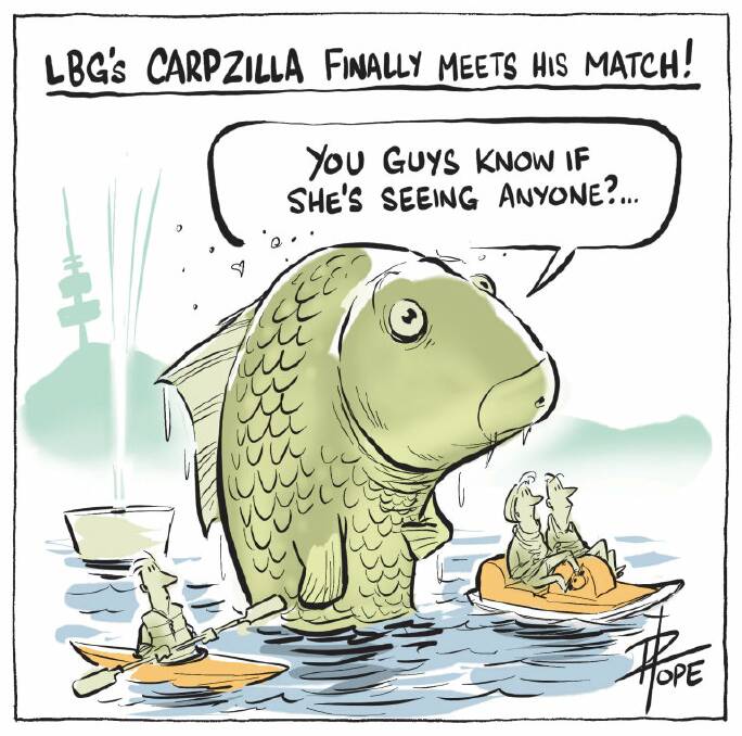 A selection of Skywhale cartoons from the last ten years by Canberra Times cartoonist David Pope