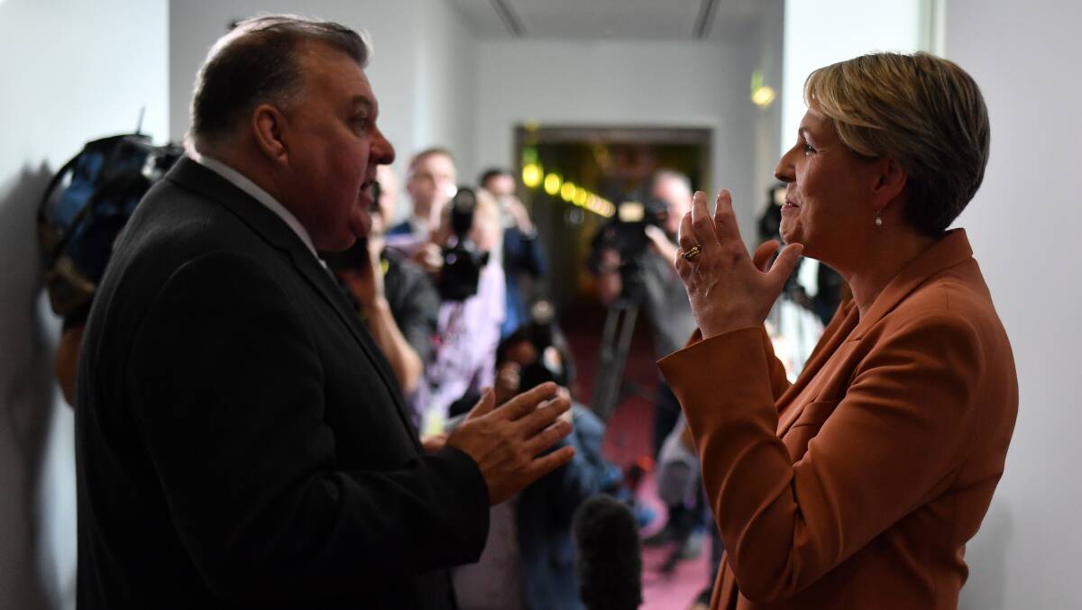 Member for Hughes Craig Kelly and Member for Sydney Tanya Plibersek argue in the Media Gallery at Parliament House on Wednesday. Picture: Getty Images