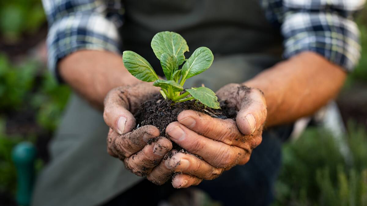 Nature-friendly and low-carbon farming practices create private benefits too. Picture: Shutterstock