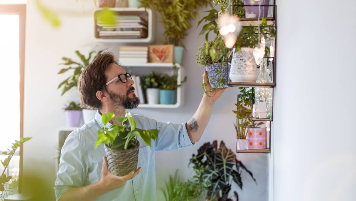 Can plants be trusted anymore? Picture: Shutterstock