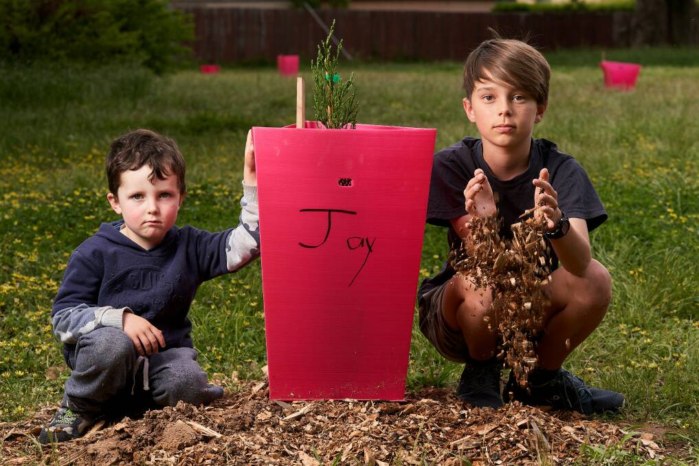 Downer children Ben, 5, and Jay, 11. The gum tree Jay planted was mysteriously replaced with a pine. Picture: Matt Loxton