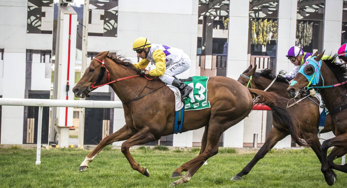 Our Finvarra was too good in the Federal on Friday afternoon. Picture: Sitthixay Ditthavong.
