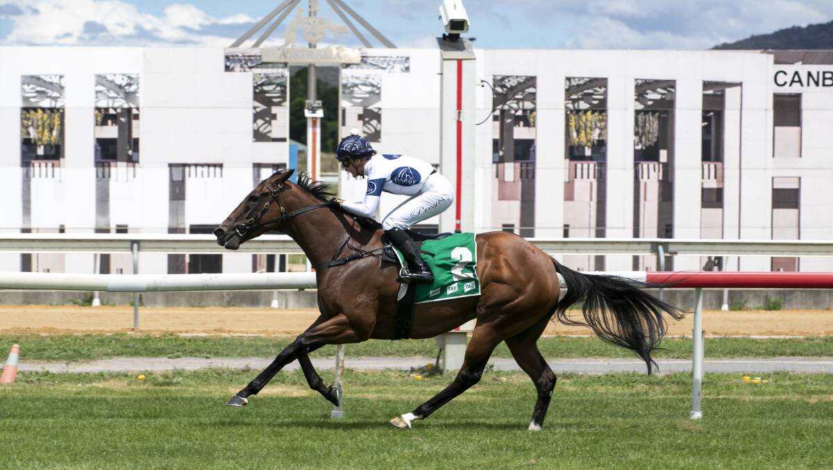 Matthew Dale mare Calescent secured a runaway win in the Federal Handicap at Thoroughbred Park on Wednesday. Picture: Keegan Carroll