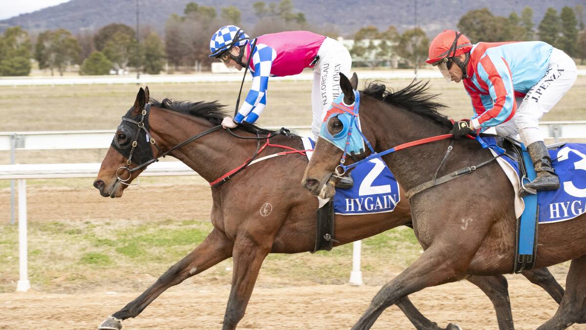 Canberra's abandoned Friday race meeting will now be run on Tuesday at Queanbeyan. Picture: Keegan Carroll