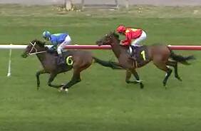 Lethal Lady won impressively on debut at Thoroughbred Park, beating home over Black Tahitian in honour of the late Mike Cramsie
