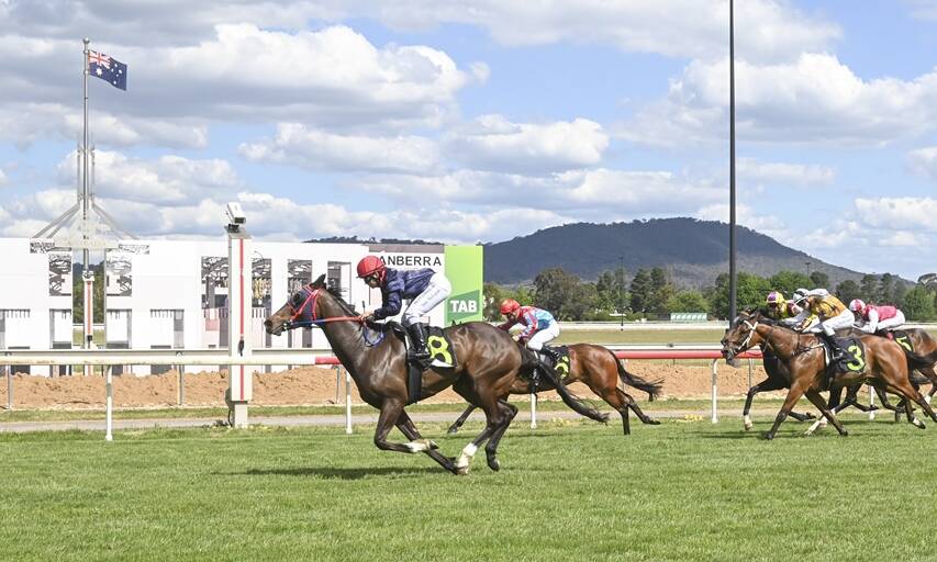 Canberra-trained mare Milamoo has been in brilliant form of late. Picture: Supplied
