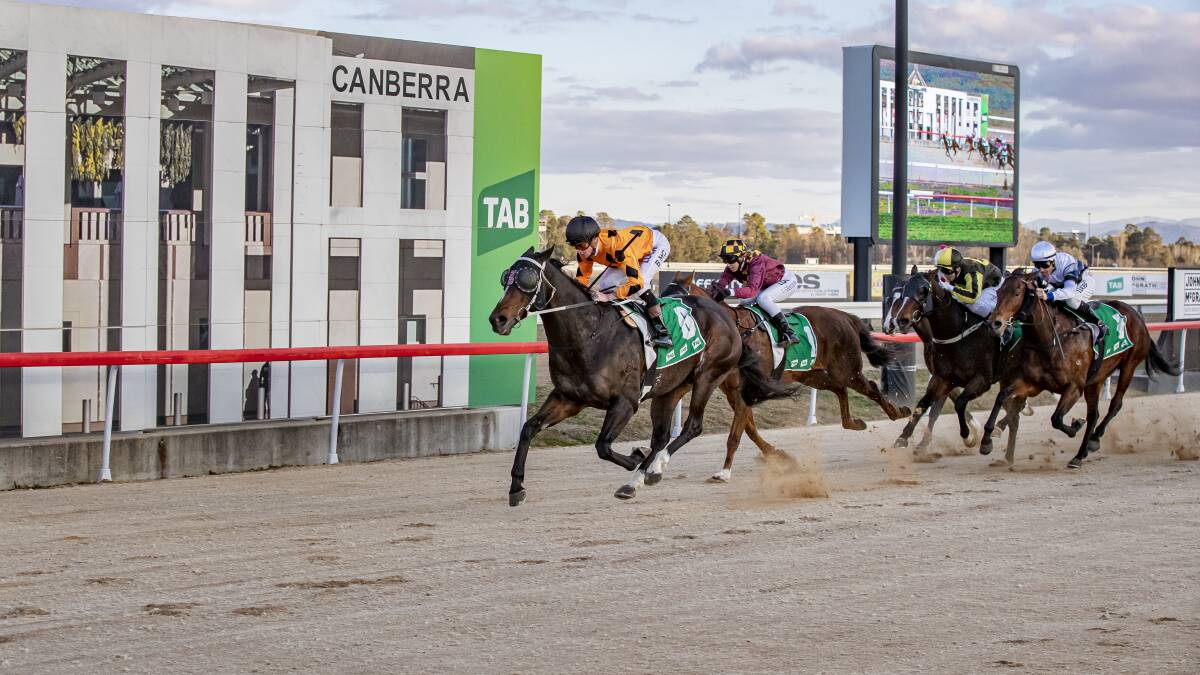 The Canberra Racing Club has extended its partnership with the Canberra Raiders. Picture: Sitthixay Ditthavong