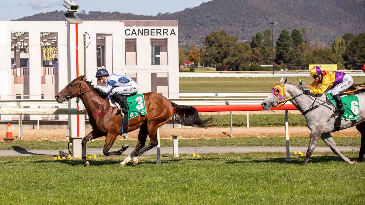Matthew Dale's Calescent was too good in the Federal Handicap in Canberra on Wednesday. Picture: Sitthixay Ditthavong