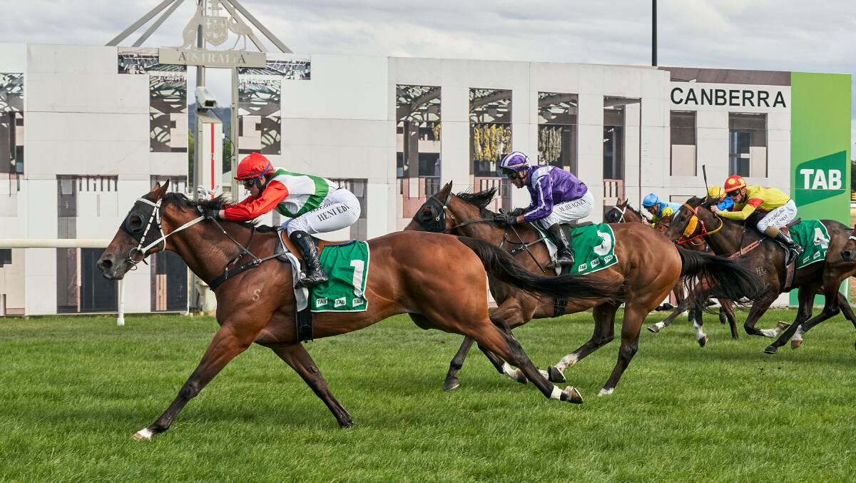Racing at Thoroughbred Park has been in limbo since Canberra plunged into lockdown. Picture: Matt Loxton