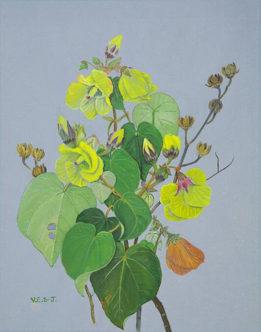 Nayuun, Ngangun - Hibiscus tiliaceus, by Vera Scarth-Johnson. Picture: Supplied