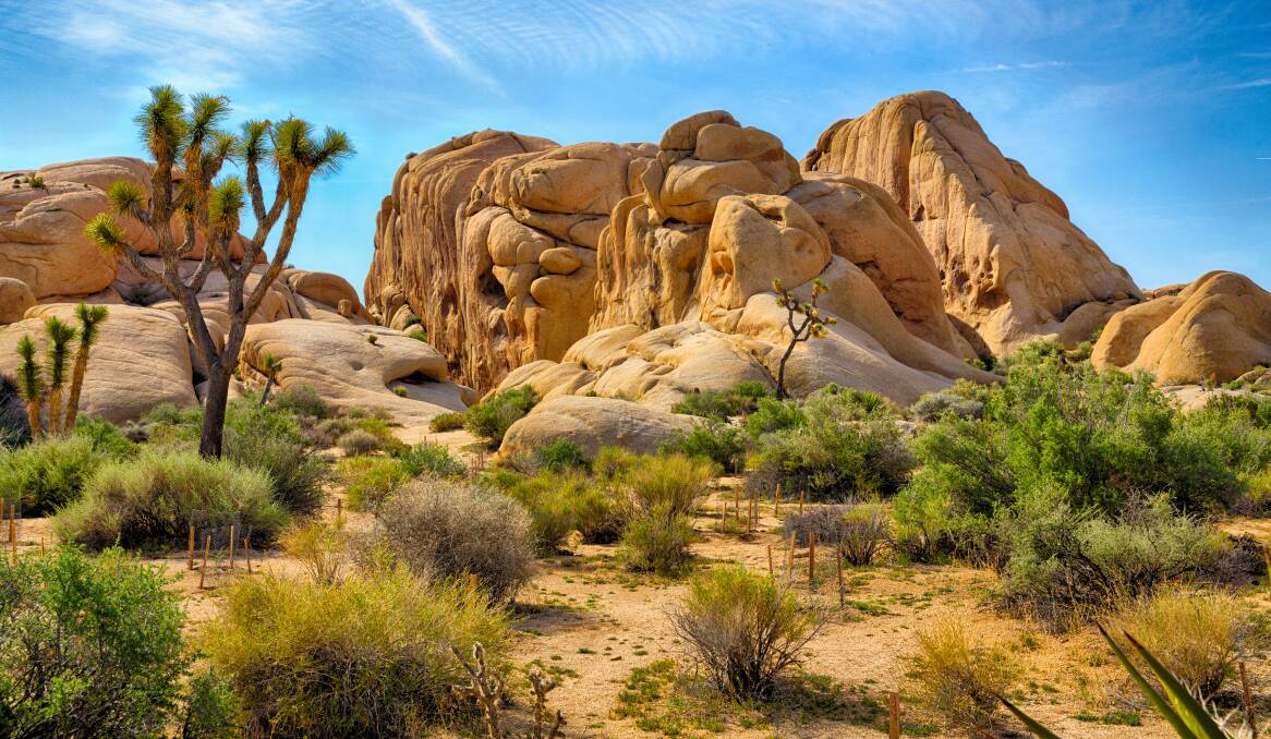 Boulders at Joshua Tree Park. Picture: Shutterstock