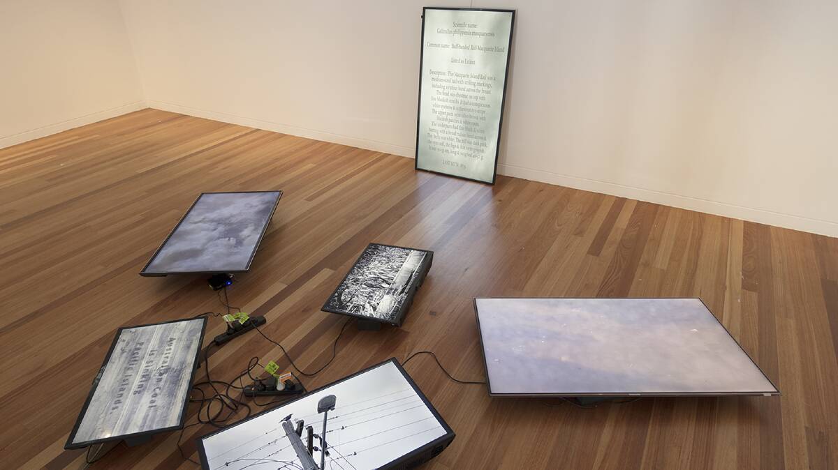 Multi-screen video installation with sound, in Noelene Lucas' Entanglement. Picture: Supplied