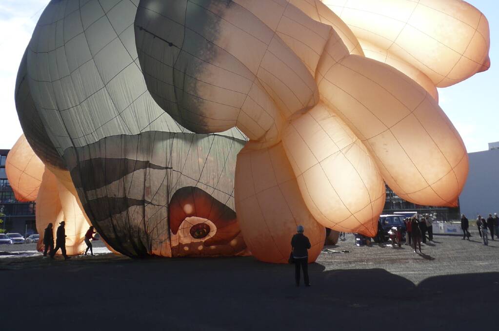 Skywhale takes a cheeky nosedive while inflating at a recent balloon festival. Picture supplied