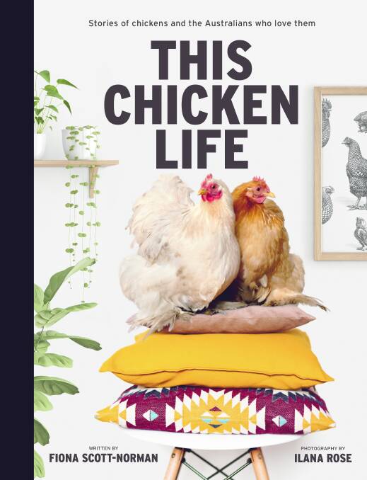 This Chicken Life, Plum, $32.99. Picture: Supplied