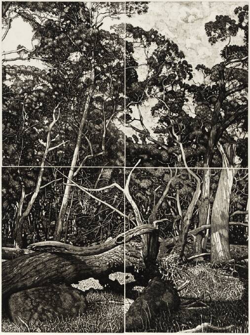 David Frazer, The tangled wood (Composition V). Picture: Supplied