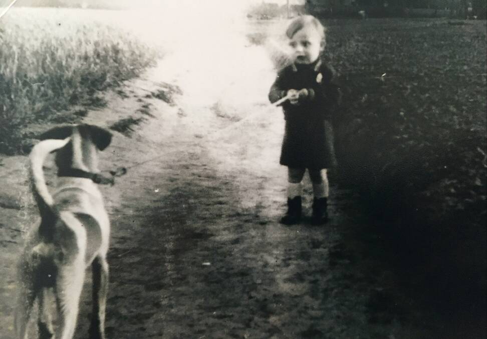 Dad running amok as a toddler, the year the family landed in Australia as refugees.