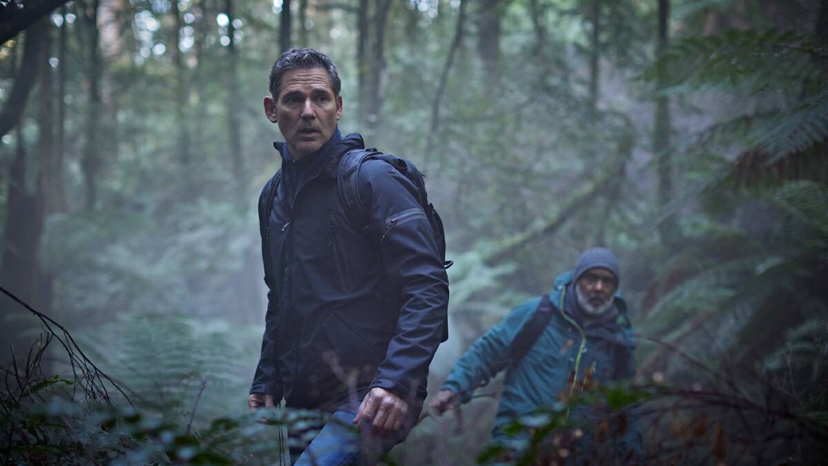Eric Bana navigates the forest as Aaron Falk in Force of Nature.