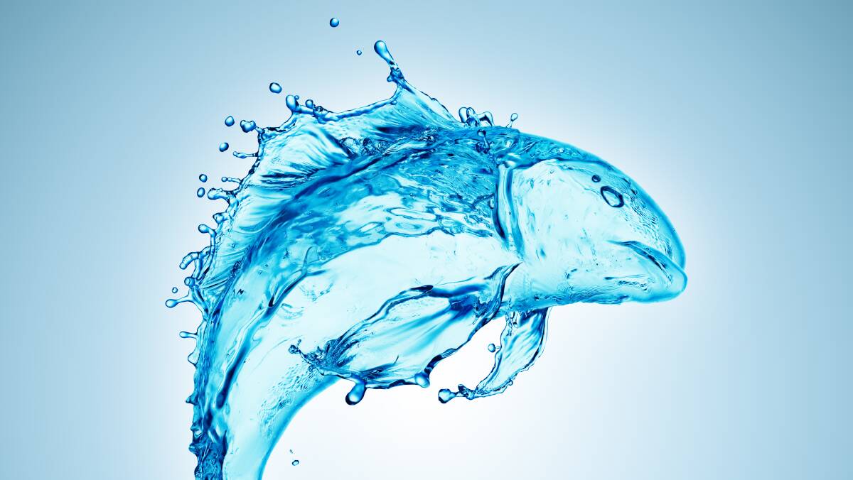 Lloyd Jones' latest book is about a fish out of water - literally. Picture: Shutterstock