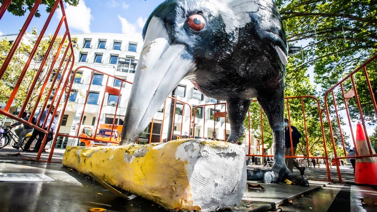 Swoop the giant magpie and his chip in Garema Place have been damaged again after recent repairs. Picture: Karleen Minney