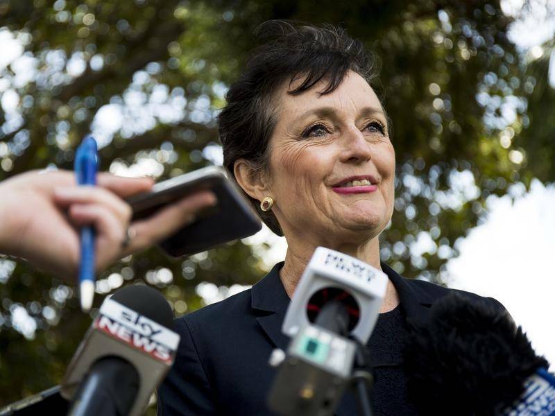 Former Liberal minister Pru Goward addresses the media during her time in office. Photo: File