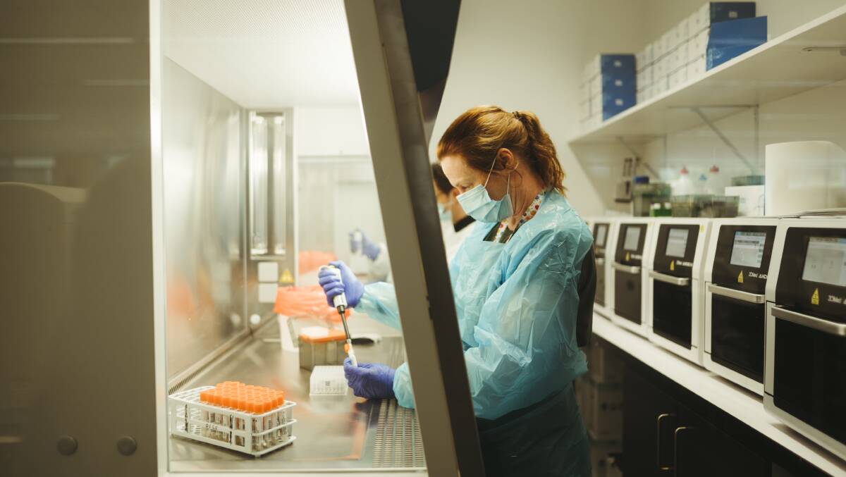 Capital Pathology senior scientific officer Rebecca Taylor pictured pipetting COVID samples. Picture: Dion Georgopoulos