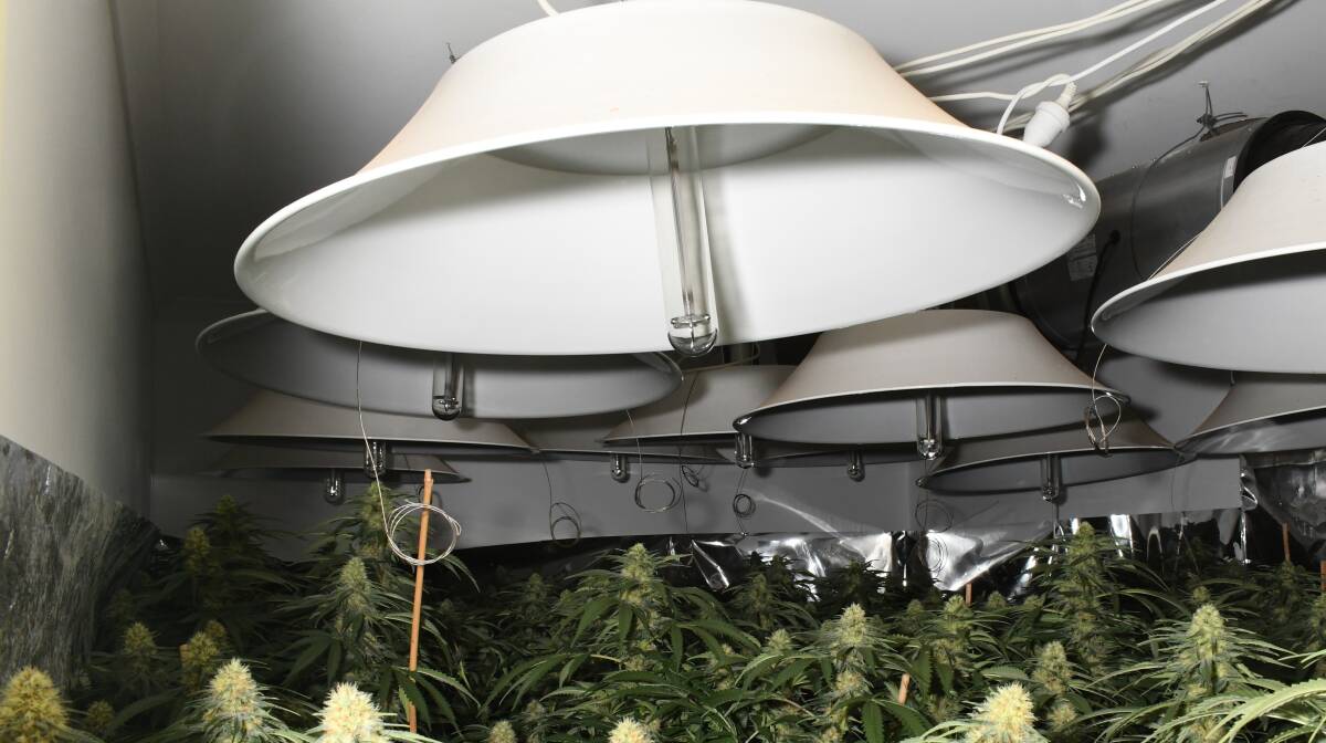 Police discovered a cannabis grow house in Dunlop on Monday. Picture: ACT Policing
