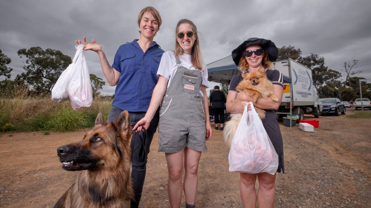 Jane Leyshon, Lean Timms, Ned the German shepherd, Beck Collis and Peaches the Pomeranianwere among those buying seafood in Watson on Friday. Picture: Sitthixay Ditthavong