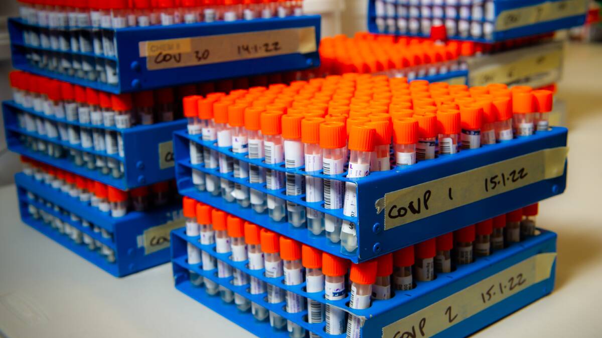Stacks of PCR tests awaiting processing at a Canberra lab. Picture: Elesa Kurtz