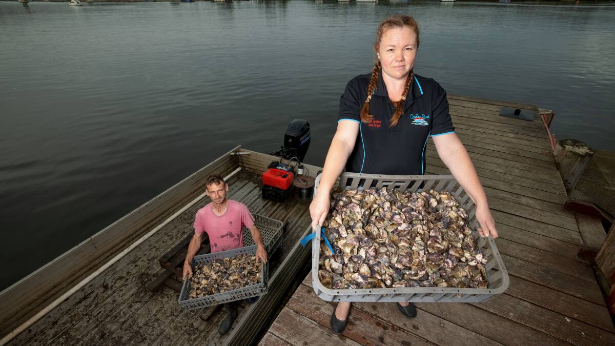 Greg and Jade Norris unload oysters ready to be sold at the Oyster Shed. Picture: Sitthixay Ditthavong