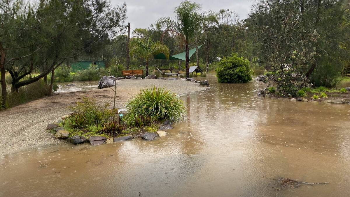 Flooding at Mogo Zoo. Picture: Chad Staples