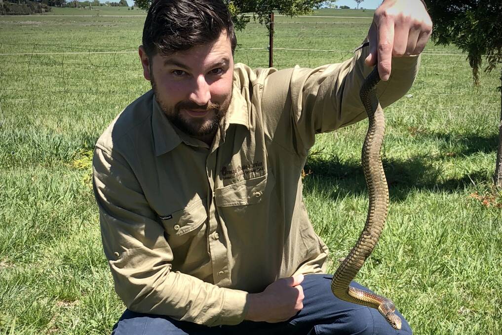 Snake catcher, Jake Hansen says this time of year is always a busy one for snakes. Photo: CONTRIBUTED