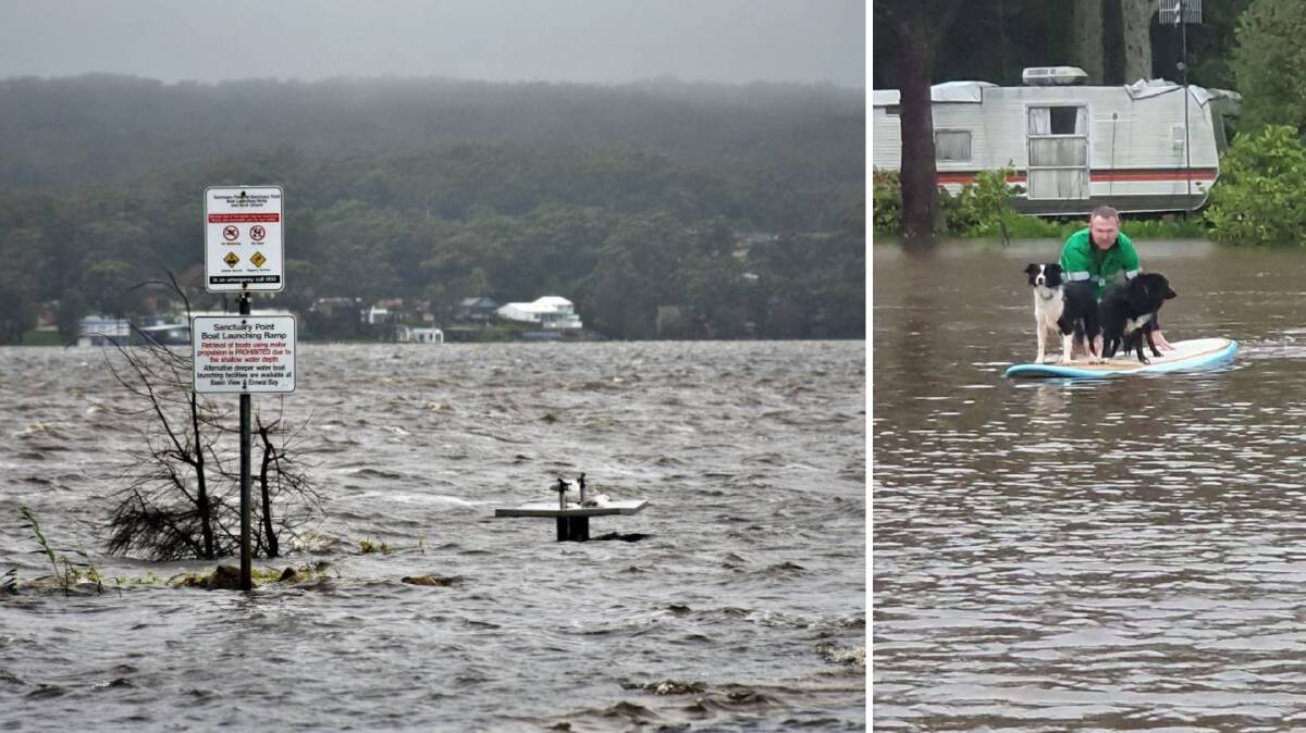 Left: Sanctuary Point Paradise Beach and boat ramp. Photo: Dannie & Matt Connolly Photography. Right: Mick Perry saved his border collies Prim and Katniss on a surfboard on Tuesday morning. Photo: supplied.