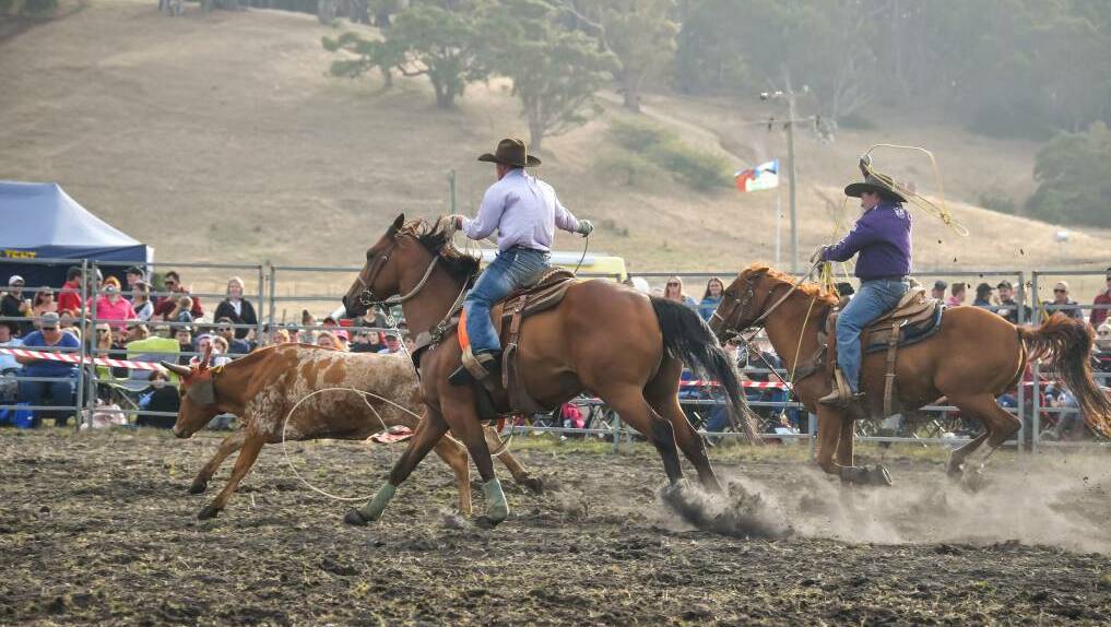 There are calls to band rodeos like this at Lillico earlier this year.