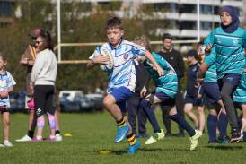 ACT rugby officials have placed an emphasis on growing junior participation numbers. Picture ACT Rugby Union
