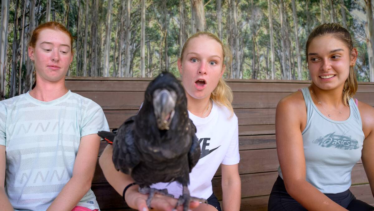 Emerson Jones (centre) had a close encounter with a red-tailed black cockatoo at the National Zoo and Aquarium. Picture by Sitthixay Ditthavong