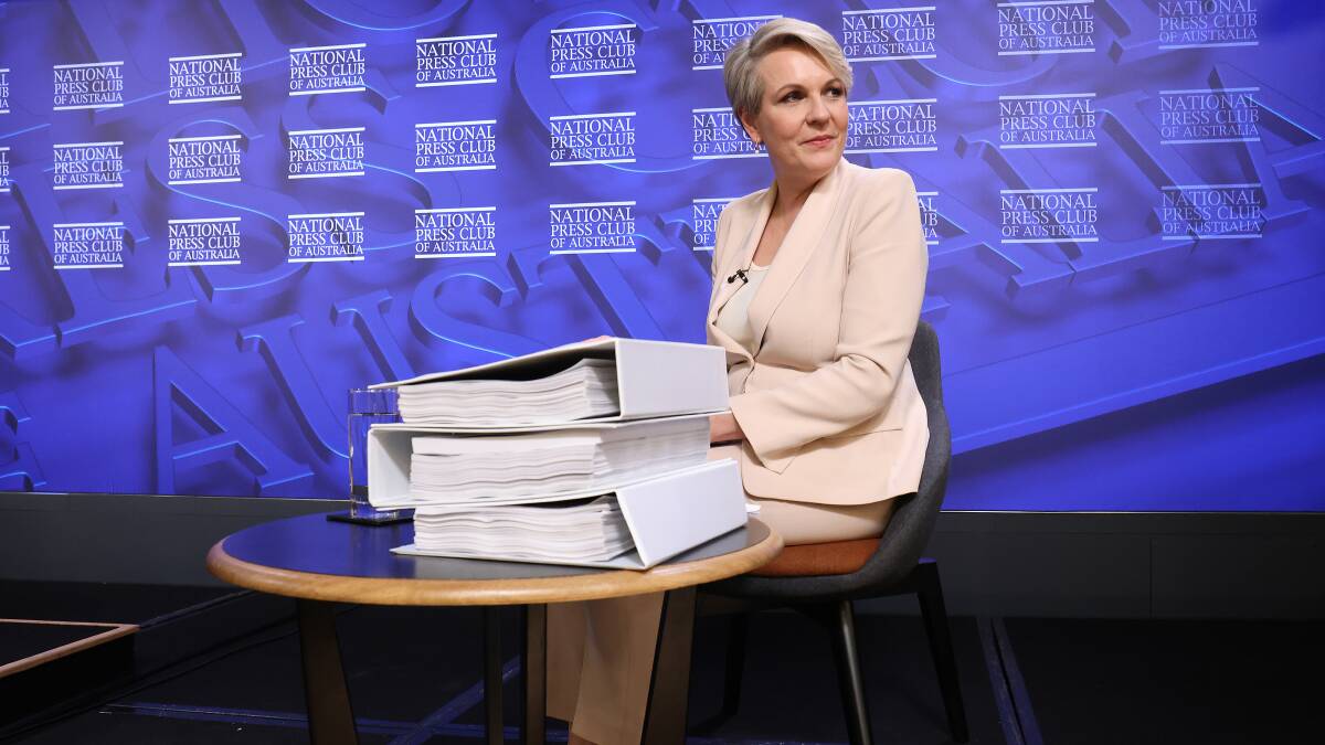 Is Tanya Plibersek vulnerable to a challenge from a teal-like independent?
Picture by Karleen Minney.