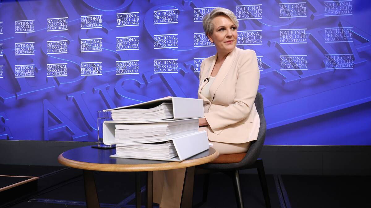 Environment Minister Tanya Plibersek. Picture by James Croucher.