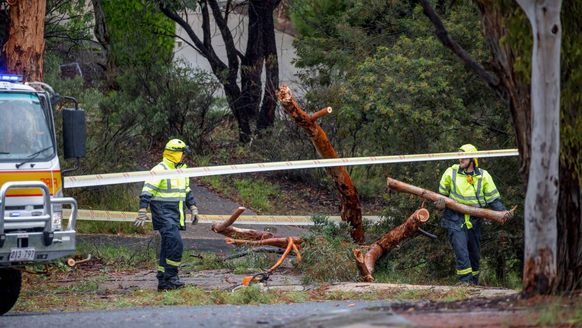 The ACT government's response to the storm on January has left a lot to be desired, a reader says. Picture: Sitthixay Ditthavong