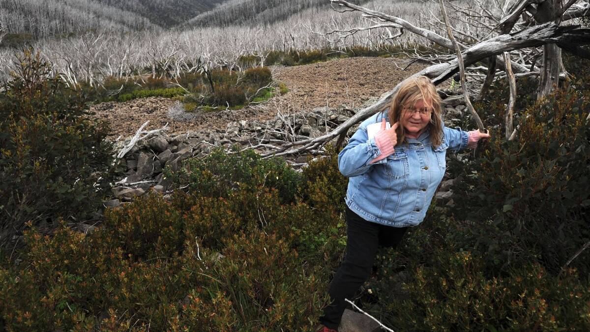 Rosslyn Beeby on assignment in the Kosciusko National Park for The Canberra Times in 2010. Picture: Andrew Sheargold