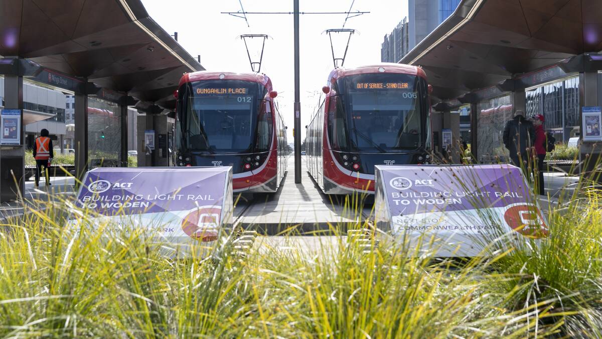 The light rail project's use of native grasses for landscaping in the corridor has proved to be controversial. Picture: Keegan Carroll
