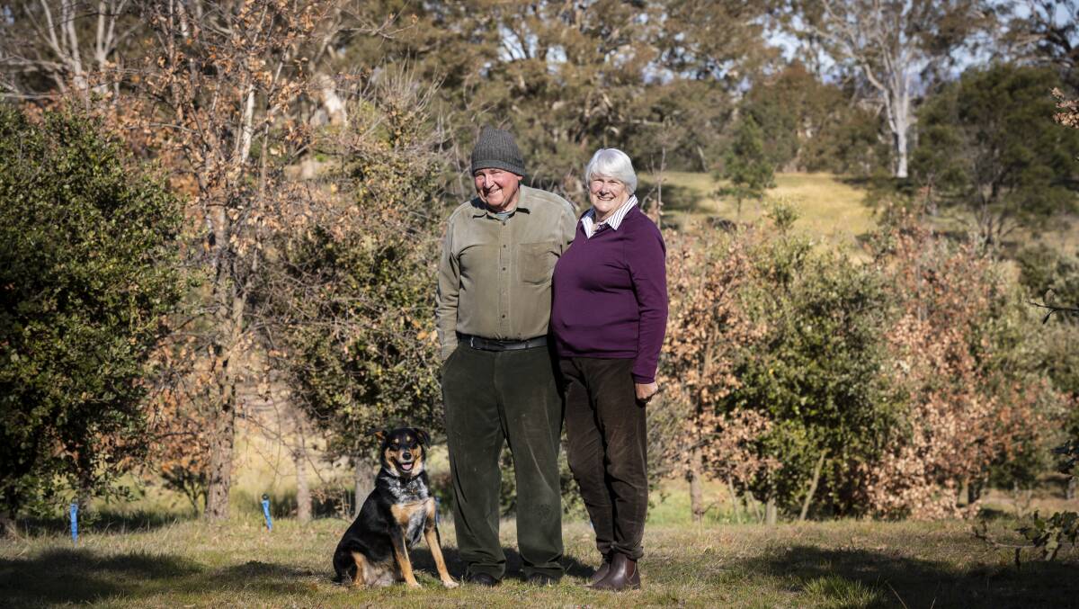 Dick and Virginia Groot Obbink with Bella at Durran Durra Truffles. Picture: Supplied
